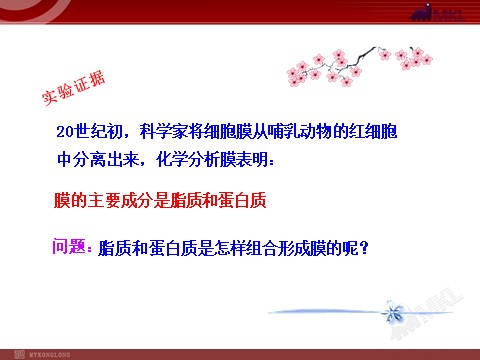 高中生物必修一4.2生物膜的流动镶嵌模型第5页