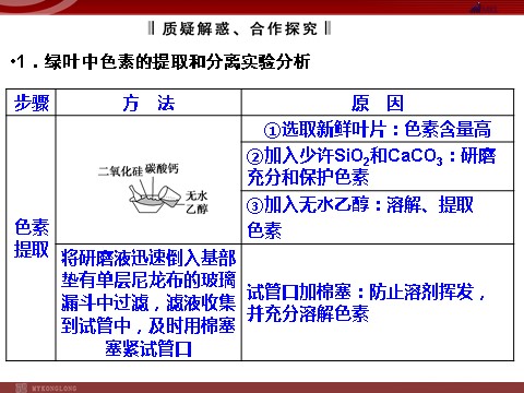 高中生物必修一高效课堂同步课件：5-4-1能量之源──光与光合作用（必修1）第10页