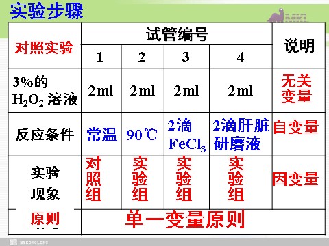 高中生物必修一必修1 第5章 第1节降低化学反应活化能的酶第6页