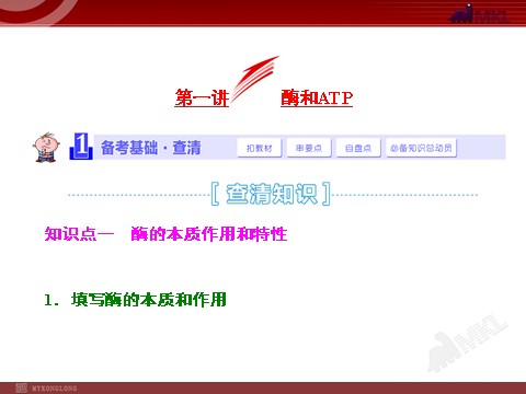 高中生物必修一第1讲  酶和ATP第1页