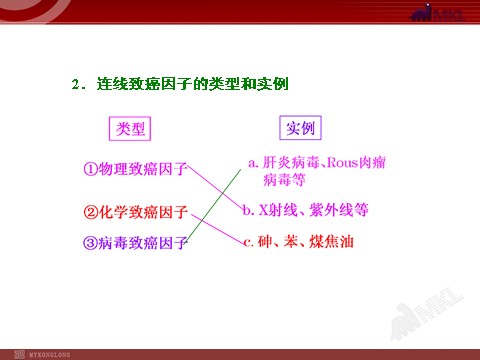 高中生物必修一第3讲  细胞的分化、衰老、凋亡和癌变第7页