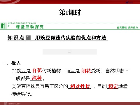 高中生物必修二高效课堂同步课件：1-1-1孟德尔的豌豆杂交实验（一）（必修2）第4页