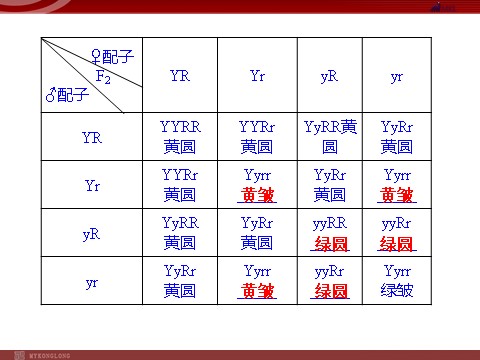 高中生物必修二高效课堂同步课件：1-2孟德尔的豌豆杂交实验（二）（必修2）第8页