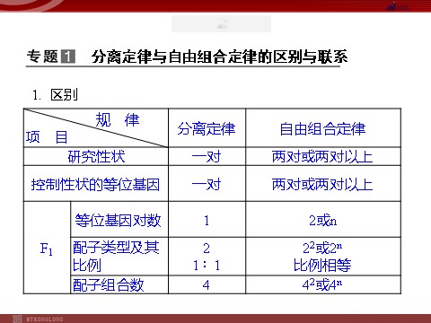 高中生物必修二高效课堂同步课件：章末整合1《遗传因子的发现》（必修2）第3页