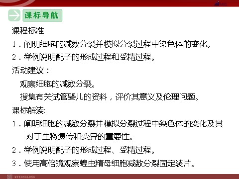 高中生物必修二高效课堂同步课件：2-1-1减数分裂和受精作用（必修2）第3页