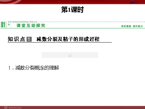 高中生物必修二高效课堂同步课件：2-1-1减数分裂和受精作用（必修2）第4页