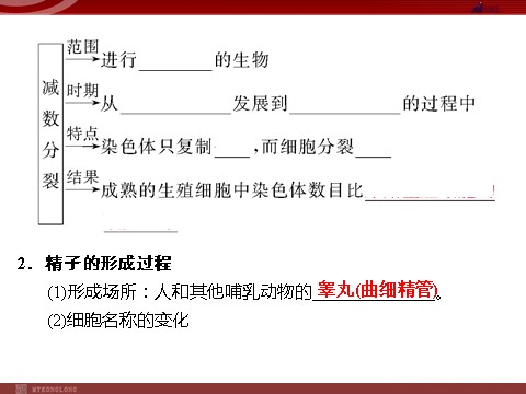 高中生物必修二高效课堂同步课件：2-1-1减数分裂和受精作用（必修2）第5页