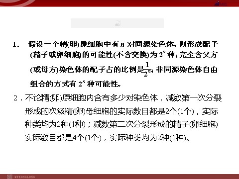 高中生物必修二高效课堂同步课件：2-1-2减数分裂和受精作用（必修2）第4页