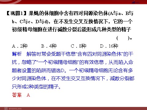 高中生物必修二高效课堂同步课件：2-1-2减数分裂和受精作用（必修2）第6页