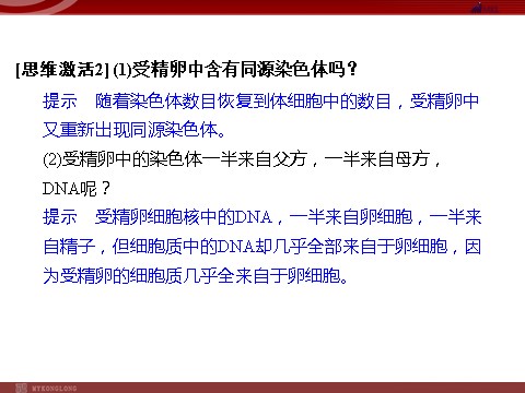 高中生物必修二高效课堂同步课件：2-1-2减数分裂和受精作用（必修2）第9页