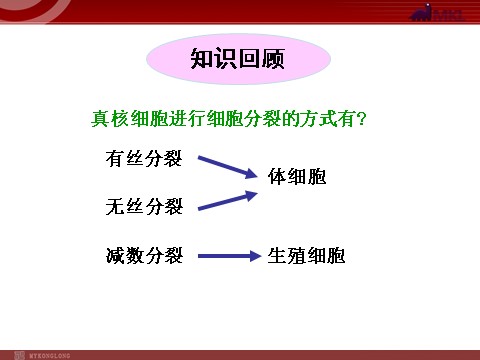 高中生物必修二【人教版】高中生物必修二《 2.1.1 减数分裂》课件第2页