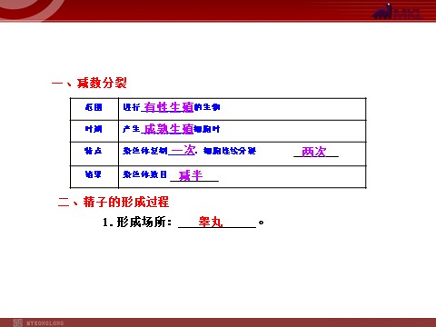 高中生物必修二【人教版】高中生物必修二《 2.1 减数分裂》课件第4页