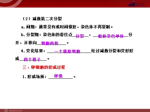 高中生物必修二【人教版】高中生物必修二《 2.1 减数分裂》课件第7页