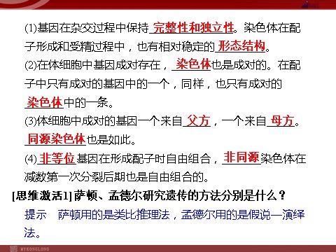 高中生物必修二高效课堂同步课件：2-2基因在染色体上（必修2）第5页