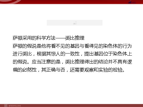 高中生物必修二高效课堂同步课件：2-2基因在染色体上（必修2）第6页