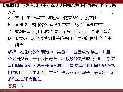 高中生物必修二高效课堂同步课件：2-2基因在染色体上（必修2）第7页