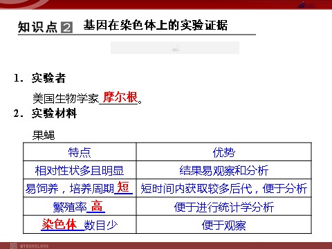 高中生物必修二高效课堂同步课件：2-2基因在染色体上（必修2）第8页