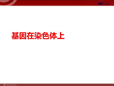 高中生物必修二【人教版】高中生物必修二《 2.2基因在染色体上》课件第1页