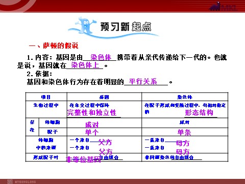 高中生物必修二【人教版】高中生物必修二《 2.2基因在染色体上》课件第2页