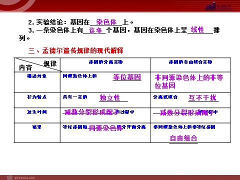 高中生物必修二【人教版】高中生物必修二《 2.2基因在染色体上》课件第4页