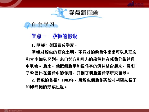 高中生物必修二【人教版】高中生物必修二《 2.2基因在染色体上》课件第5页