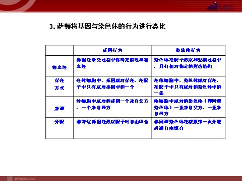 高中生物必修二【人教版】高中生物必修二《 2.2基因在染色体上》课件第6页