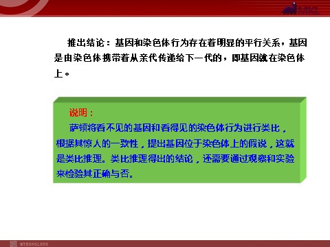 高中生物必修二【人教版】高中生物必修二《 2.2基因在染色体上》课件第7页