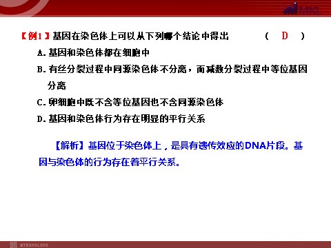 高中生物必修二【人教版】高中生物必修二《 2.2基因在染色体上》课件第8页