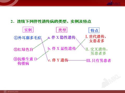 高中生物必修二第3讲  基因在染色体上和伴性遗传第6页