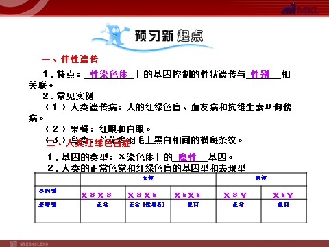 高中生物必修二【人教版】高中生物必修二《 2.3 伴性遗传》课件第2页