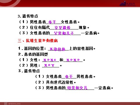 高中生物必修二【人教版】高中生物必修二《 2.3 伴性遗传》课件第3页