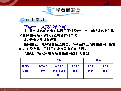 高中生物必修二【人教版】高中生物必修二《 2.3 伴性遗传》课件第5页