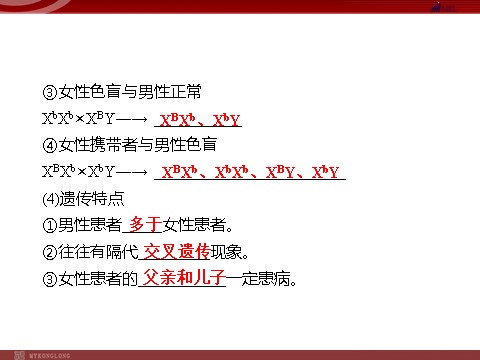 高中生物必修二高效课堂同步课件：2-3伴性遗传（必修2）第5页