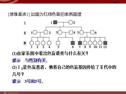 高中生物必修二高效课堂同步课件：2-3伴性遗传（必修2）第6页