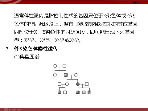 高中生物必修二高效课堂同步课件：2-3伴性遗传（必修2）第9页