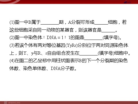 高中生物必修二高效课堂同步课件：章末整合2《基因与染色体的关系》（必修2）第10页