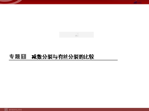 高中生物必修二高效课堂同步课件：章末整合2《基因与染色体的关系》（必修2）第3页