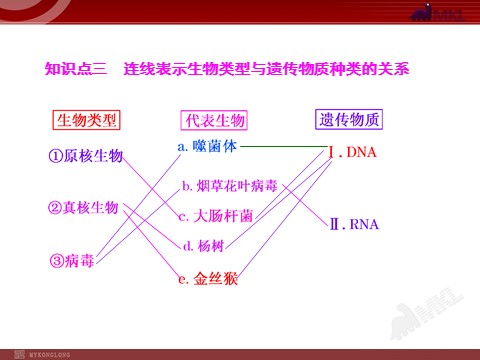 高中生物必修二第1讲  DNA是主要的遗传物质第7页