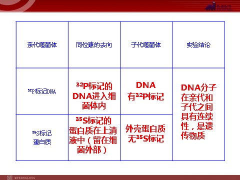 高中生物必修二高中生物同步课件：第3章 第1节  DNA是主要的遗传物质（人教版必修2）第10页