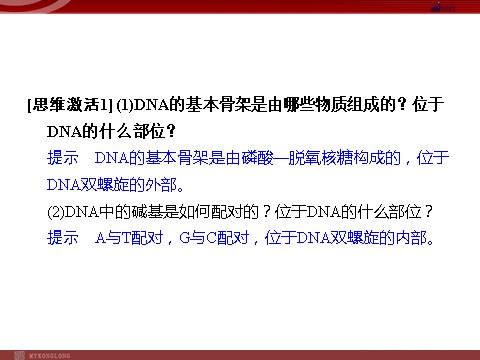 高中生物必修二高效课堂同步课件：3-2DNA分子的结构（必修2）第5页