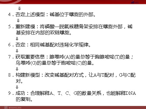 高中生物必修二高效课堂同步课件：3-2DNA分子的结构（必修2）第7页