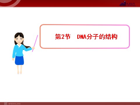 高中生物必修二高中生物同步课件：第3章 第2节  DNA分子的结构（人教版必修2）第1页