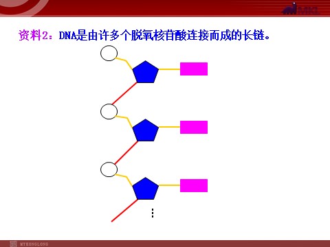 高中生物必修二高中生物同步课件：第3章 第2节  DNA分子的结构（人教版必修2）第7页