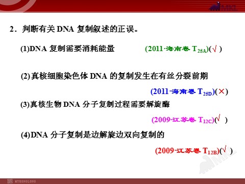 高中生物必修二第2讲  DNA分子的结构、复制与基因的本质第8页