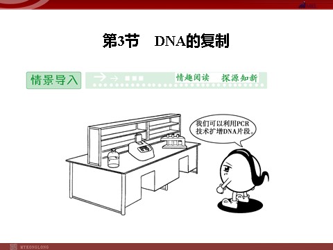 高中生物必修二高效课堂同步课件：3-3DNA的复制（必修2）第1页