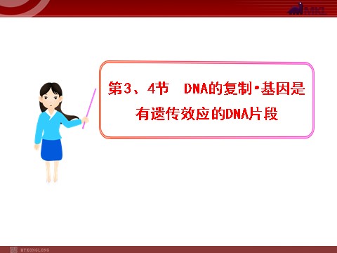 高中生物必修二高中生物同步课件：第3章 第3、4节  DNA的复制·基因是有遗传效应的DNA片段（人教版必修2）第1页
