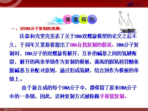 高中生物必修二高中生物同步课件：第3章 第3、4节  DNA的复制·基因是有遗传效应的DNA片段（人教版必修2）第4页