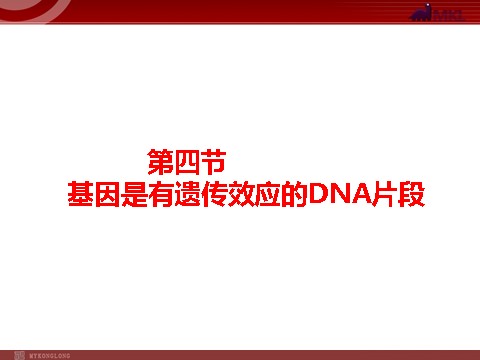 高中生物必修二【人教版】高中生物必修二《 3.4 基因是有遗传效应的DNA片段》课件1第1页