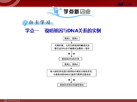 高中生物必修二【人教版】高中生物必修二《 3.4 基因是有遗传效应的DNA片段》课件1第3页