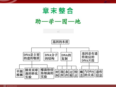 高中生物必修二高效课堂同步课件：章末整合3《基因的本质》（必修2）第1页